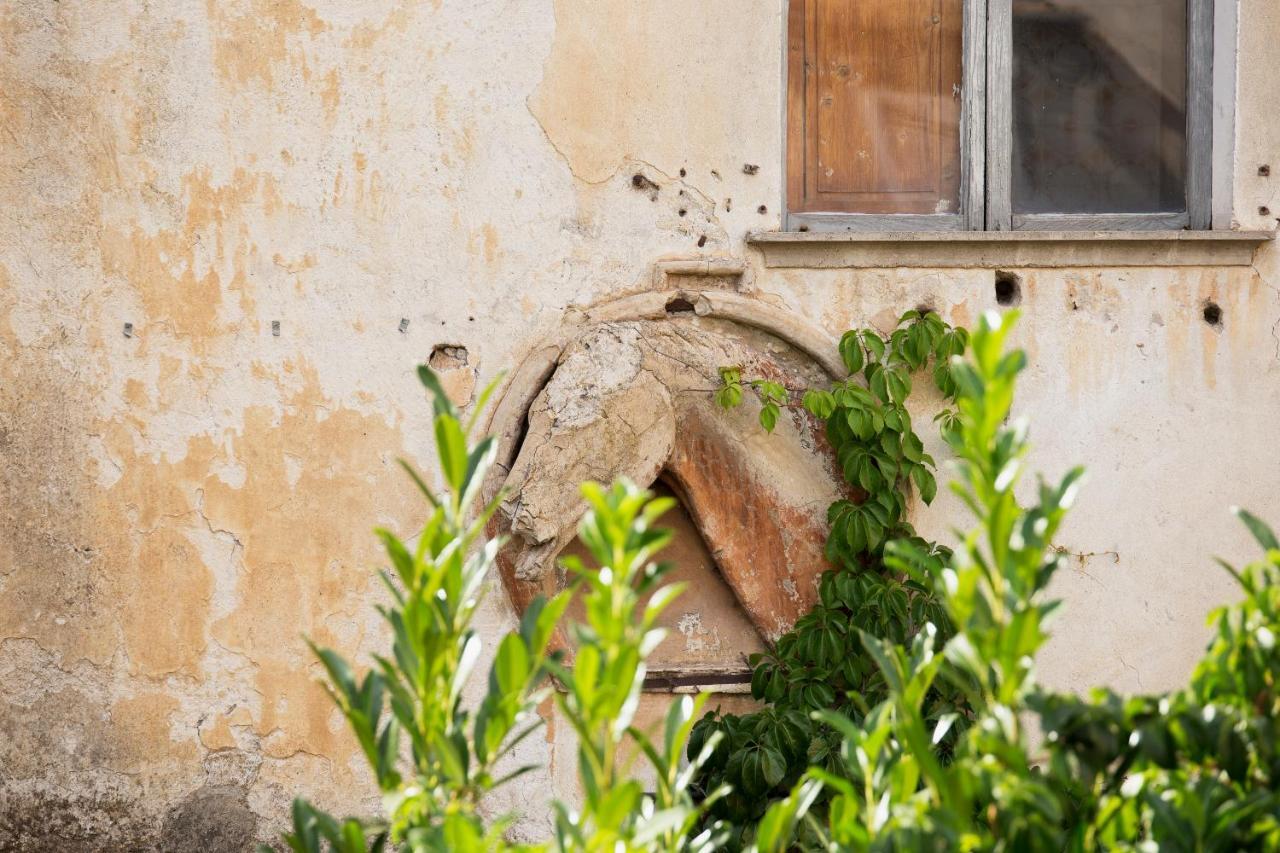 Domus Festina Lente Apartman Orvieto Kültér fotó